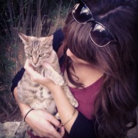 5bd934d8768746b0c5b06a5b82918b59